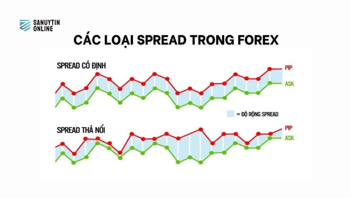 Các loại spread trong forex