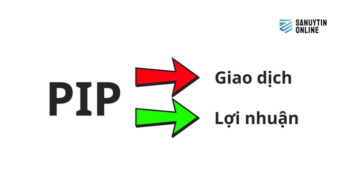 Cách Pip ảnh hưởng đến giá trị giao dịch và lợi nhuận