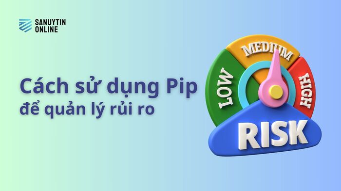 Cách sử dụng Pip để quản lý rủi ro trong giao dịch