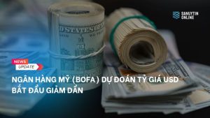 Mỹ dự đoán tỷ giá USD bắt đầu giảm dần