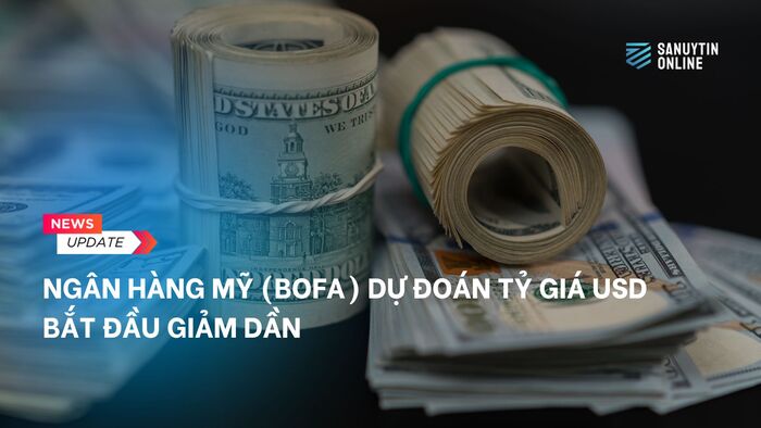 Ngân hàng Mỹ dự đoán tỷ giá USD bắt đầu giảm dần