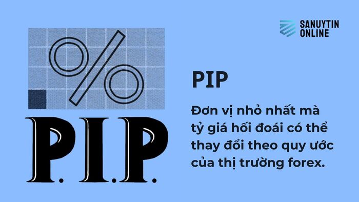 Pip trong Forex là gì?