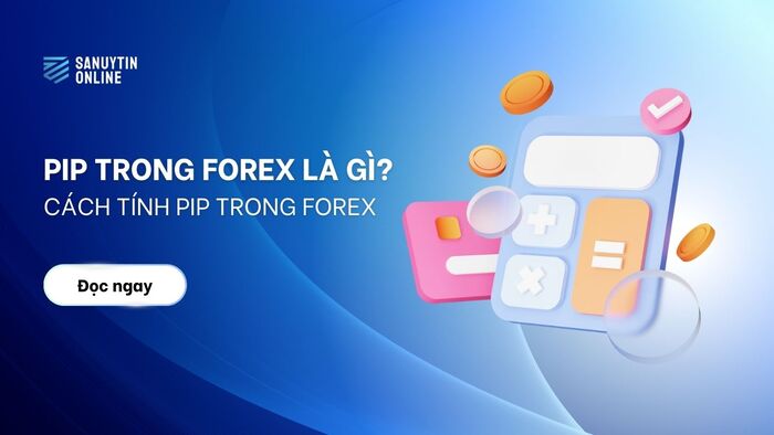 Pip trong Forex là gì? Cách tính Pip trong Forex chi tiết