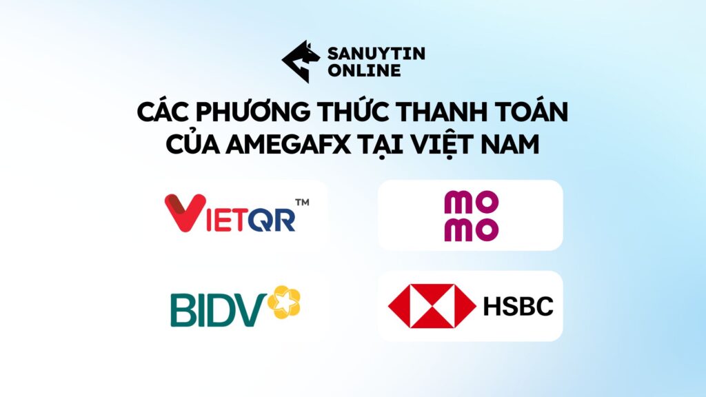 Các phương thức thanh toán của AmegaFX tại Việt Nam