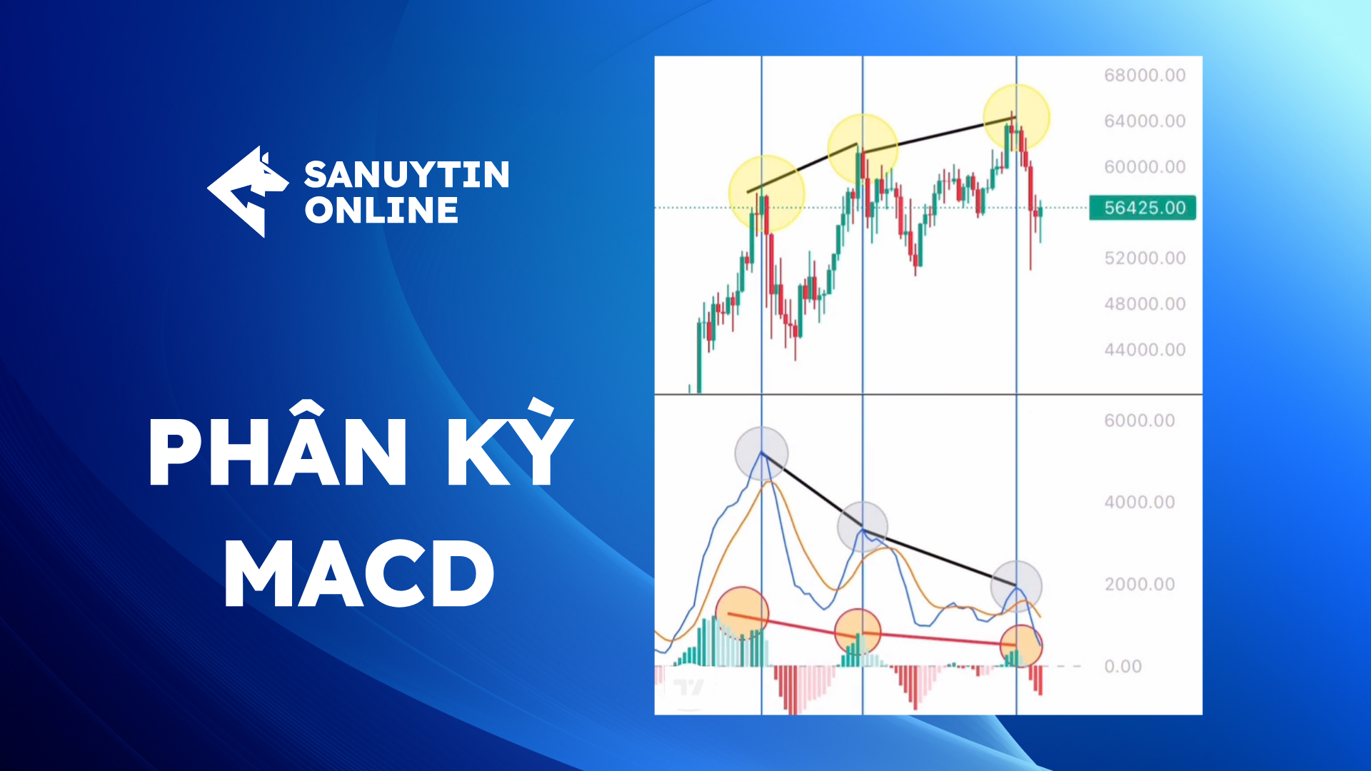 phân kỳ MACD