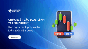 Các loại lệnh trong Forex