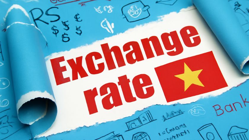 Chính sách tỷ giá hối đoái của Việt Nam và cơ chế điều hành linh hoạt của Ngân hàng Nhà nước chính sách tỷ giá hối đoái của Việt Nam và cơ chế điều hành linh hoạt của Ngân hàng Nhà nước