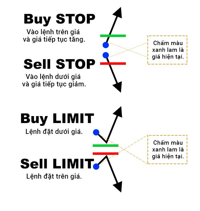 Phân biệt các loại lệnh Phân biệt các loại lệnh