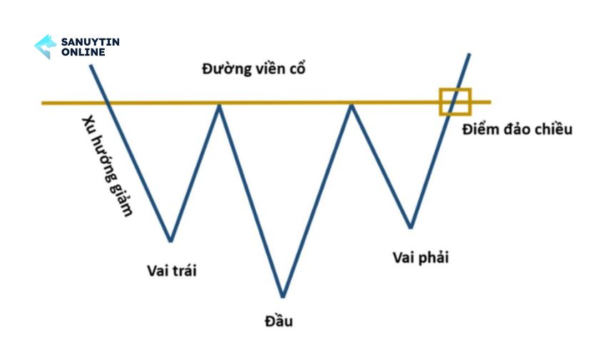 Mô hình vai đầu vai thuận và ngược