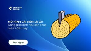 mô hình cái nêm
