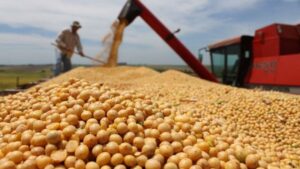 Argentina đình chỉ thuế xuất khẩu nông sản để hút về USD