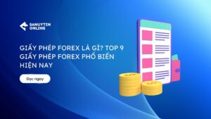 giấy phép Forex