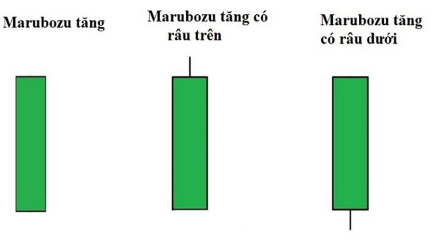 Nến Marubozu tăng xuất hiện báo hiệu phe bán đang áp đảo trên thị trường Hình ảnh 3 biến thể của nến Marubozu tăng có thể xuất hiện trên thị trường Forex