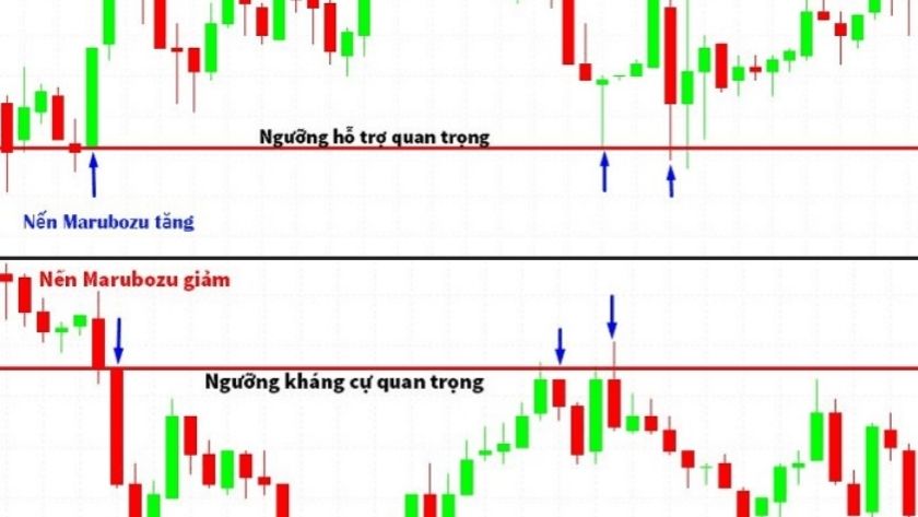 Marubozu zuất hiện giúp xác định vùng kháng cự và hỗ trợ chính xác hơn Biểu đồ giá tăng giảm được biểu thị qua hai màu nến xanh và đỏ trong đó có cả hai loại nến là Marubozu tăng/giảm. Hai đường thẳng chia ngang cho thấy vùng kháng cự và hỗ trợ được xác định.