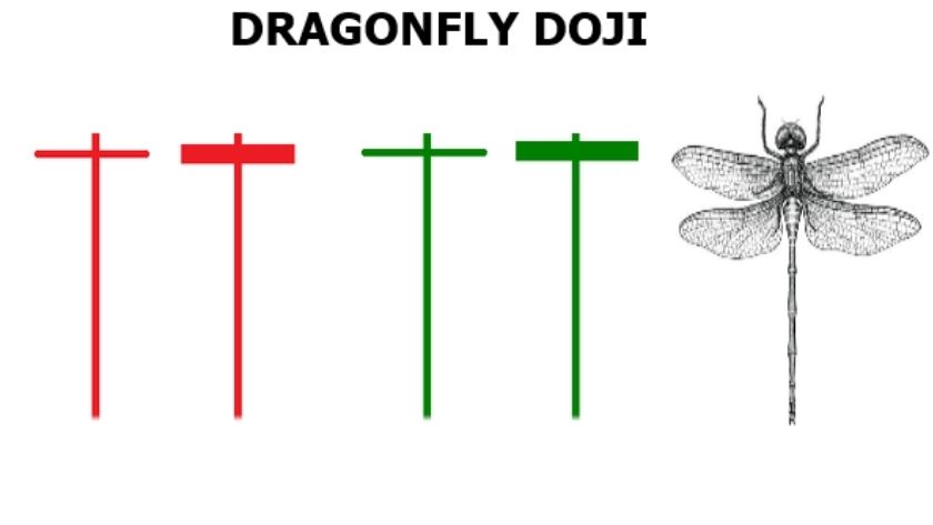 Hình ảnh nến Doji chuồn màu xanh và đỏ cùng với con chuồn chuồn cho thấy hình dáng giống nhau