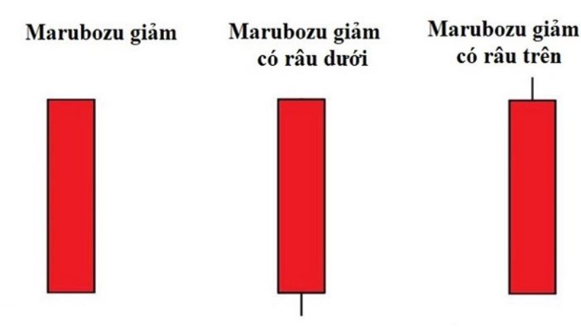 Mô tả các hình dạng của nến Marubozu giảm Ba cây nến Marubozu giảm với các hình dạng khác nhau , báo hiệu các thời điểm khác nhau của thị trường.