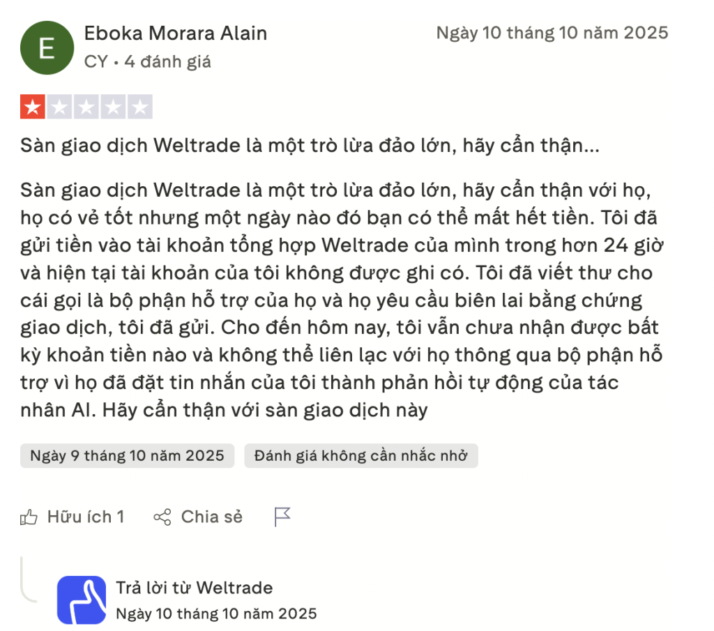 Đánh giá từ nhà đầu tư 