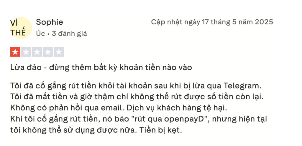 Đánh giá từ nhà đầu tư 